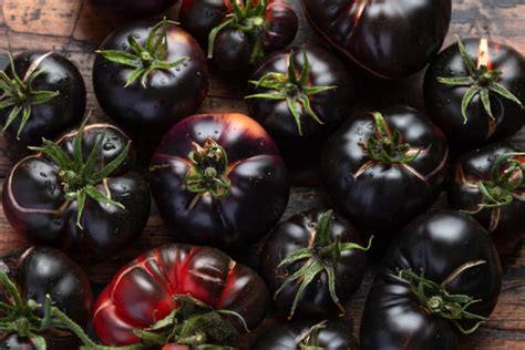 18 Black (Or Nearly Black) Tomato Varieties - Tomato Bible