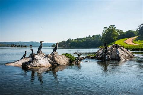 Source of the Nile at Jinja – Jinja, Uganda - Atlas Obscura