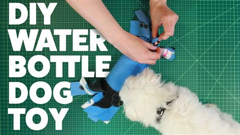 DIY Water Bottle Dog Toy | #DIYWednesday | Rover.com - YouTube