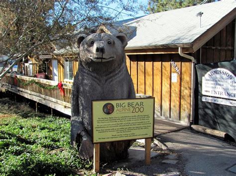 Big Bear Alpine Zoo Big Bear