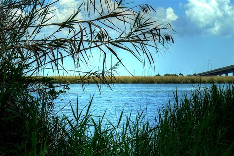 The Apalachicola River as it flows into the Apalachicola Bay in Apalachicola, FL | Apalachicola ...