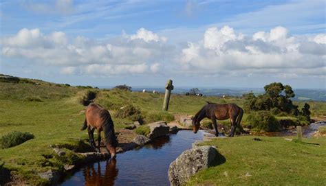 10 Wonderful Walks in Exeter - Visit Exeter