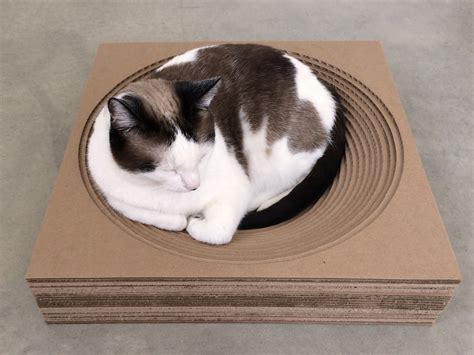 Pet Projects Cat Scratcher Beds — P3 Designwork