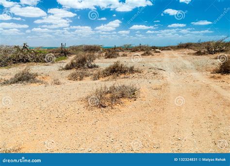 La Guajira desert stock image. Image of bush, semidesert - 132324831