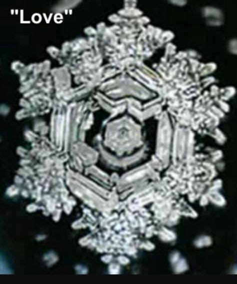 41 Masaru Emoto Water Crystals ideas | masaru emoto, masaru emoto water ...