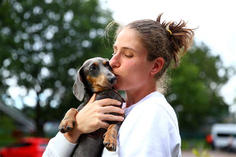 Dog owners prefer to kiss their pups over their partners