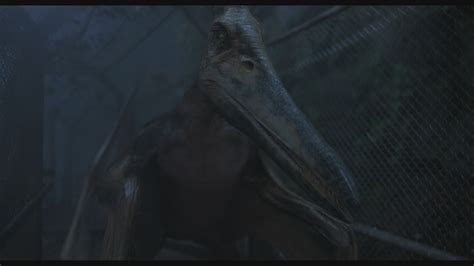 Image - Pteranodon-1.jpg | Jurassic Park wiki | FANDOM powered by Wikia