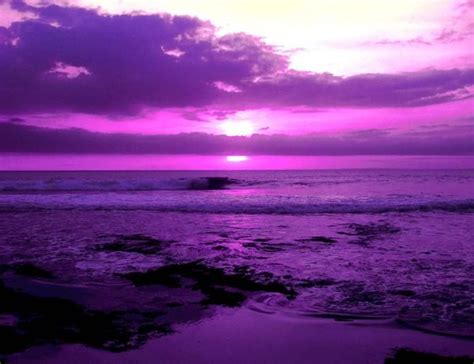 cool purple pictures - Google Images | Purple sunset, Purple sky, Purple wallpaper