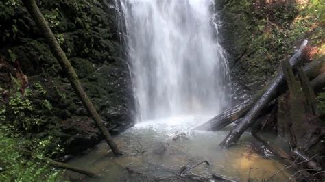 Waterfalls of Big Basin Redwoods State Park, California - YouTube