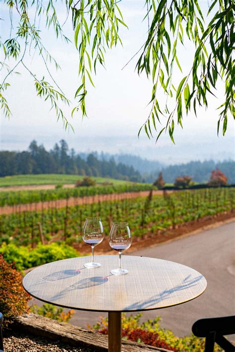 15 OUTSTANDING Oregon Wineries (Helpful Local's Guide)