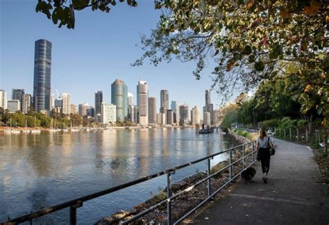 River Walks | Must Do Brisbane