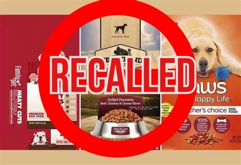 Warning! These 10 Dog Foods Have Been Recalled (2020) - PetPress