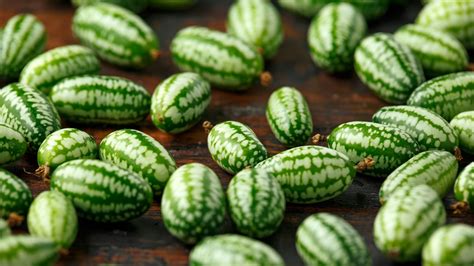 Cucamelon Seeds £2.35 from Chiltern Seeds - Chiltern Seeds Secure Online Seed Catalogue and Shop