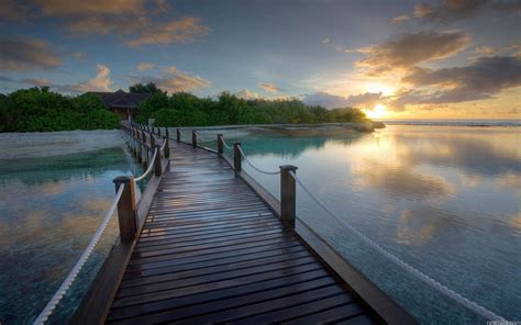 Wooden Bridge In A Paradise Resort wallpaper | other | Wallpaper Better