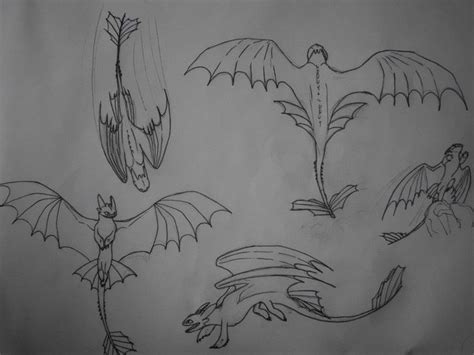 Pin van Witchy Cinnami op Httyd dragon sketch | Dieren tekenen, Tekenen ...