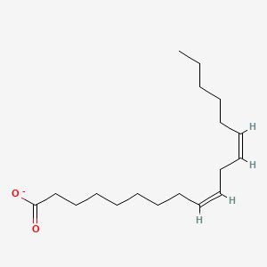 Linoleate | C18H31O2- | CID 5460332 - PubChem