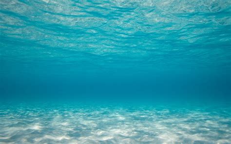 Underwater Ocean Wallpapers on WallpaperDog