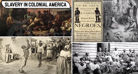 Slavery in Colonial America: History, Effects and Abolition