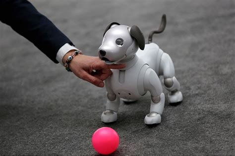 CES 2018: Sony Unleashes Intelligent Robotic Dog 'Aibo' at The World's Biggest Tech Show