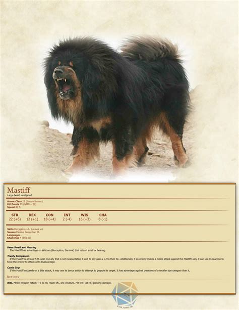 Tibetan Mastiff : r/DnDHomebrew