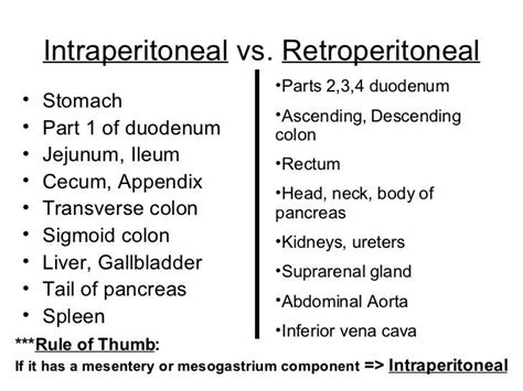 Which of the Following Organs Is Described as Retroperitoneal