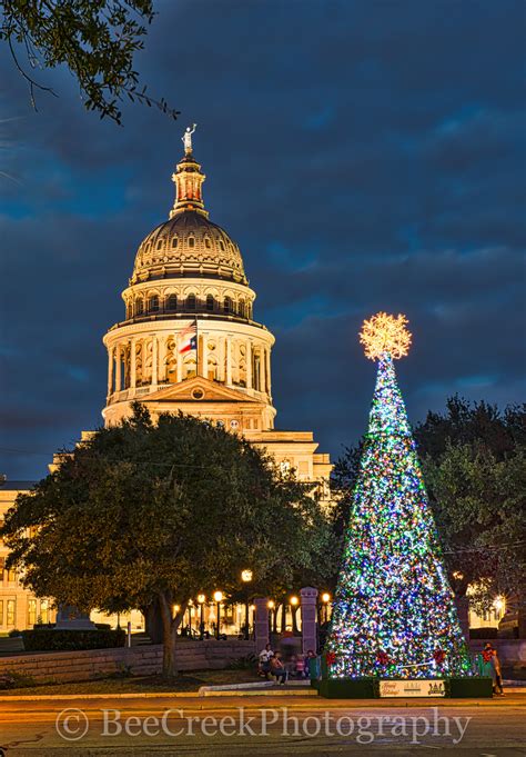 Texas Capitol Christmas Tree
