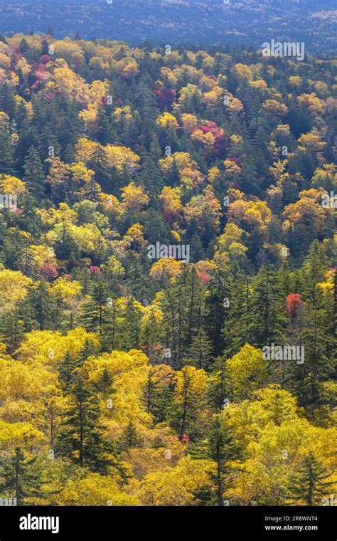 Mikuni Pass in Autumn Stock Photo - Alamy