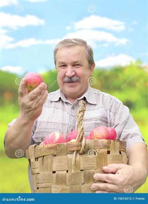 Harvesting a apple stock photo. Image of caucasian, healthy - 15016212