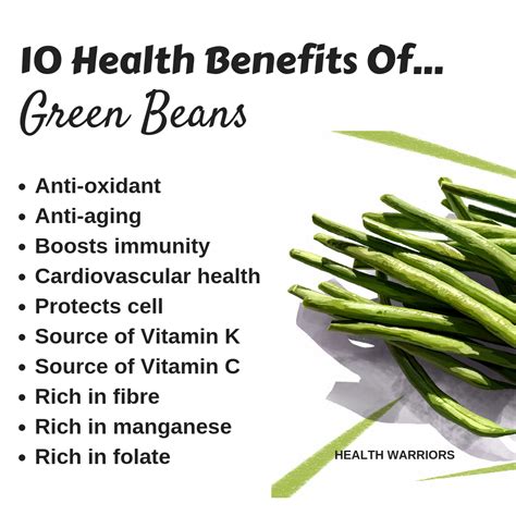 Vegetable Beans Benefits - health benefits