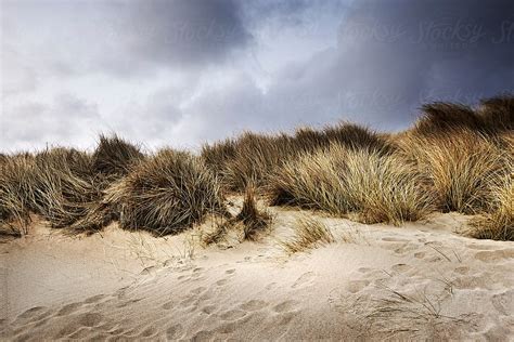 "Sand Dunes Under Winter Skies" by Stocksy Contributor "James Ross ...