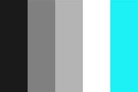 black white and grey Color Palette