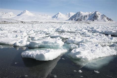 Arctic entering entirely new climate state, concludes new study