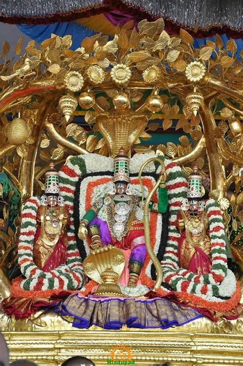 Images: Kalpavriksha Vahana Seva in Tirumala Tirupati Brahmotsavam ...