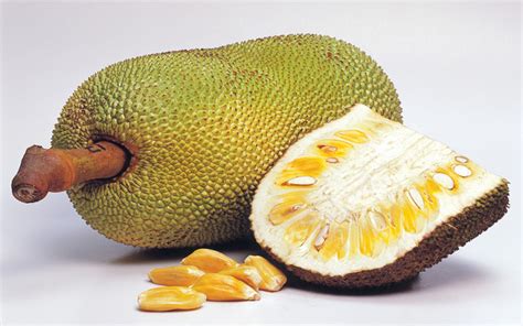 Have You Ever Tasted Jackfruit? | Wonderopolis