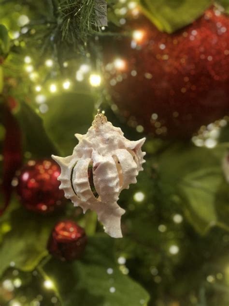 Murex Glitter Shell Ornament - Callahan's Of Calabash : Callahan's Of Calabash