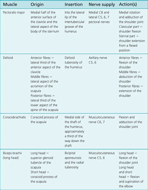 shoulder joint | Musculoskeletal Key