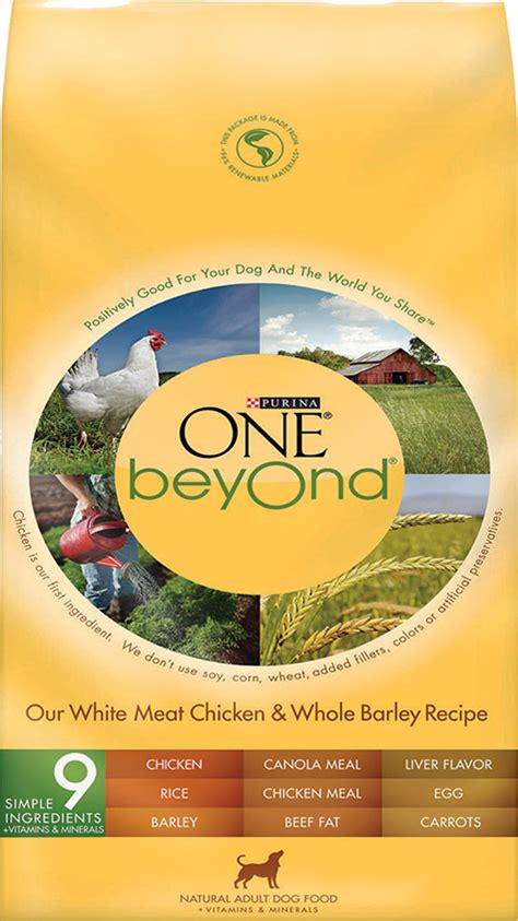 Purina ONE beyOnd Dry Dog Food Recalled for Salmonella Risk | Food Safety News