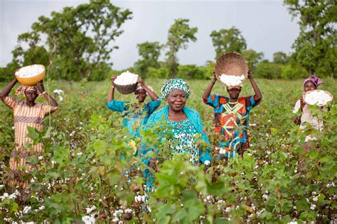 Towards Women’s Economic Empowerment in Mali