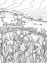 Prairie Coloring Page sketch template