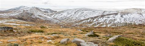 Climate change impacts on our alpine areas | AdaptNSW