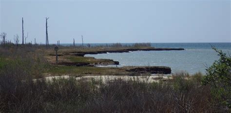 16. The photograph shows the shoreline at the Bluff Point site... | Download Scientific Diagram