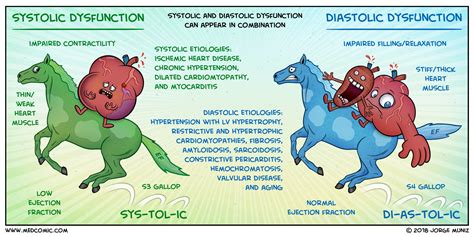 The Pathophysiology of Heart Failure - A biological civil war — Firstclass