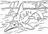 Ichthyosaurus Elasmosaurus Colouringpages Dinosaurier Abpausen  sketch template