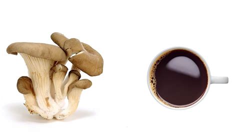 What is Organic Mushroom Coffee: Benefits and Downsides