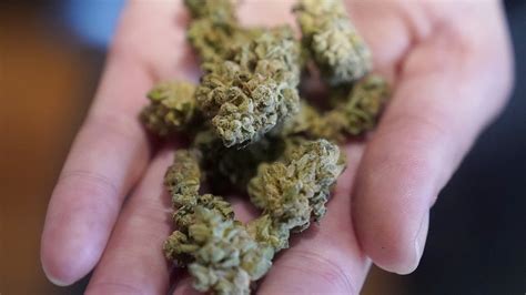 If Minnesota legalizes marijuana, when and where will I be allowed to use it? | MPR News