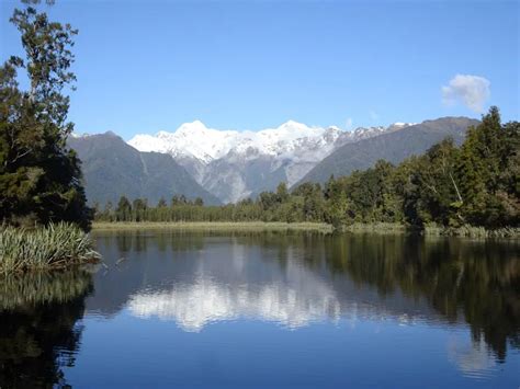 Lake Matheson Loop Walk: Easy & Beautiful Track In Fox Glacier