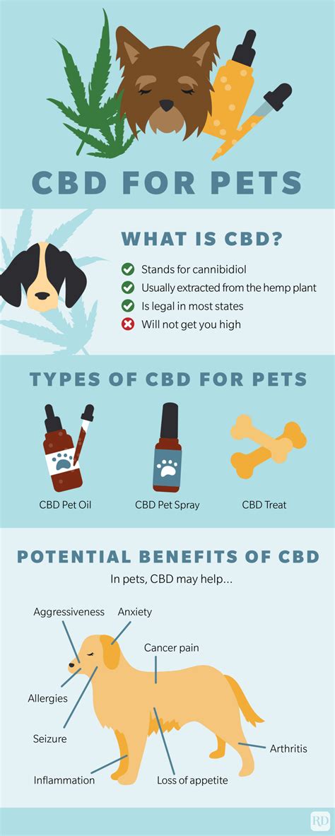 What You Need to Know Before Giving CBD to Your Pet | Trusted Since 1922