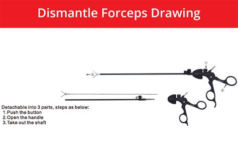 Surgical Forceps