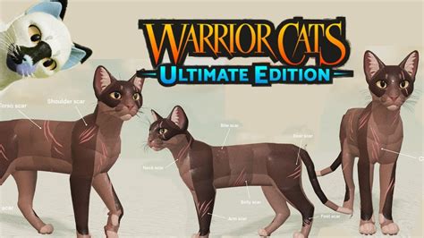 🐈 NEW SCARS + SMALL EARS COMING SOON & MORE! |Warrior Cats: Ultimate ...