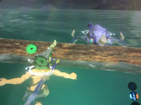 [BoTW] Talking to a lizalfos at the end of the world : r/zelda